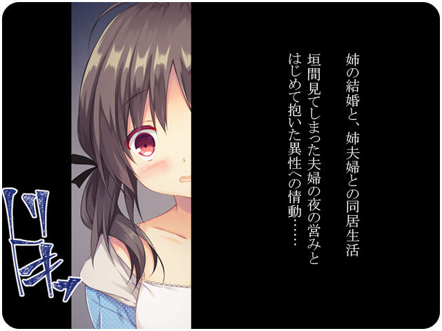 姉夫婦の性行為を目撃してしまった同居中の妹